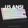 bd6890918a184568a32d02a43c1dca00tplv-aphluv4xwc-origin-jpeg.jpeg PULSAR Keycaps Low Profile US ANSI 104 Set - White