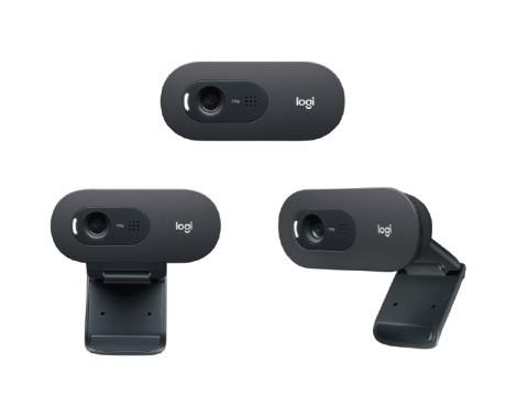 LOGITECH Webcam C505e HD 720p